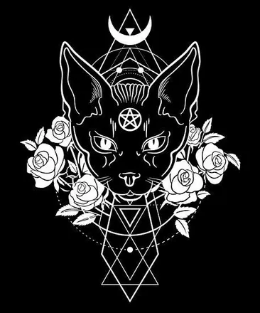 OnlyFans account  shadowrose_sub header 2