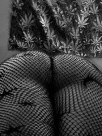 OnlyFans account  breewild header 2