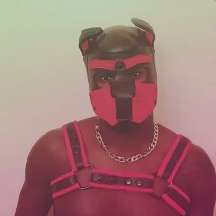 OnlyFans account  switchalphapup avatar 1