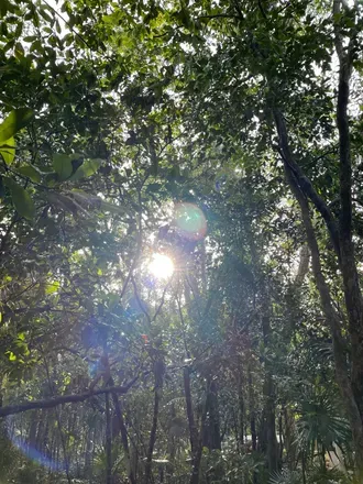 OnlyFans cuenta forestnymph69 header 2