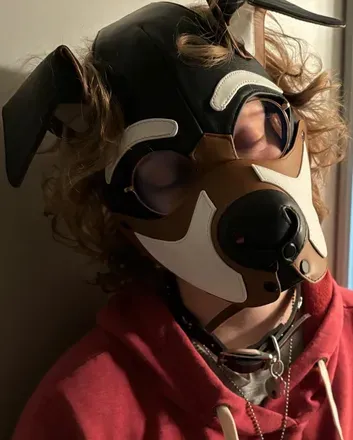 OnlyFans cuenta apolloshiba avatar 1