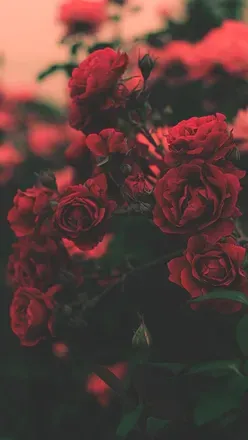 OnlyFans account  naughtymisslucyyy header 2