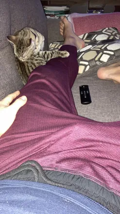OnlyFans cuenta carebearadventures header 2