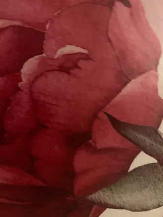 OnlyFans cuenta lottieniko06 header 2