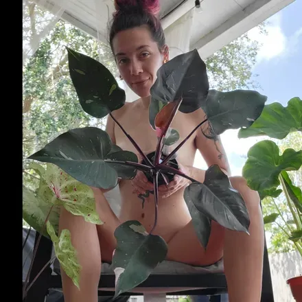 OnlyFans cuenta itsyournakedneighbor avatar 1