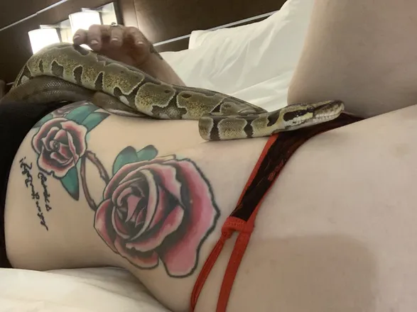 OnlyFans account  staticcandy header 2