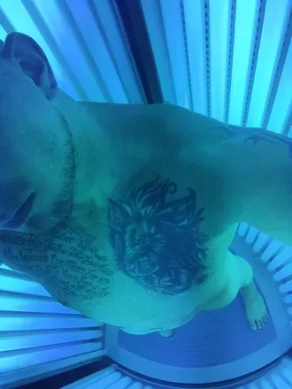 OnlyFans account  jaylong69 avatar 1