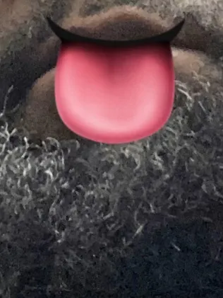 OnlyFans cuenta u13189929 header 2