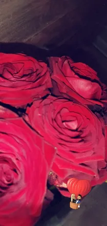 OnlyFans account  babyygirll_69 header 2