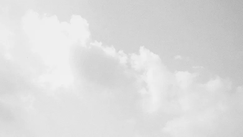 OnlyFans account  shygirlshabitat header 2