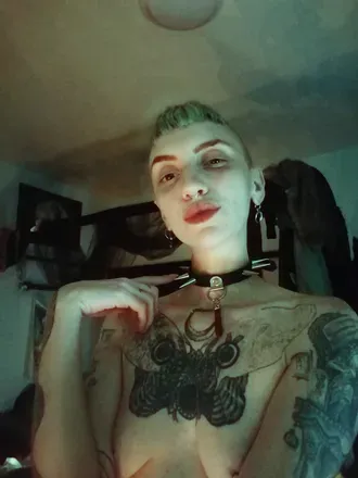 OnlyFans cuenta the_erotic_oracle avatar 1