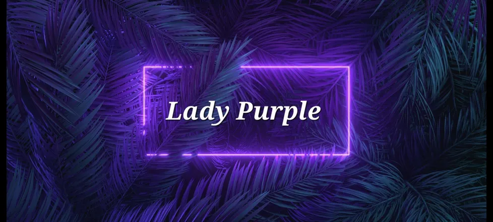 OnlyFans cuenta missladypurple header 2
