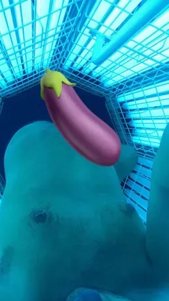 OnlyFans cuenta untamed_anonymous69 avatar 1
