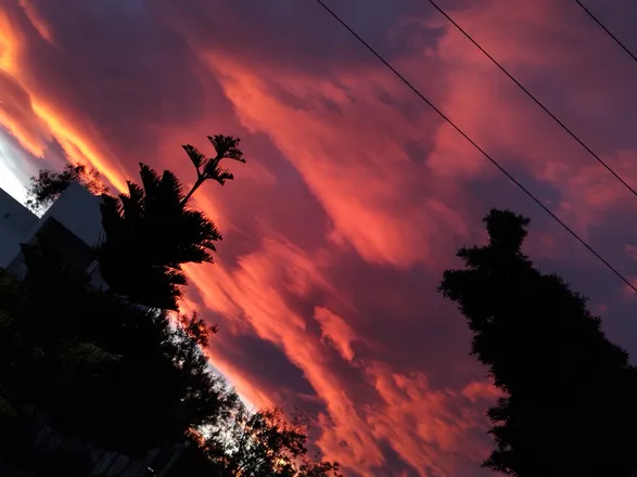 OnlyFans cuenta the.fenix07 header 2