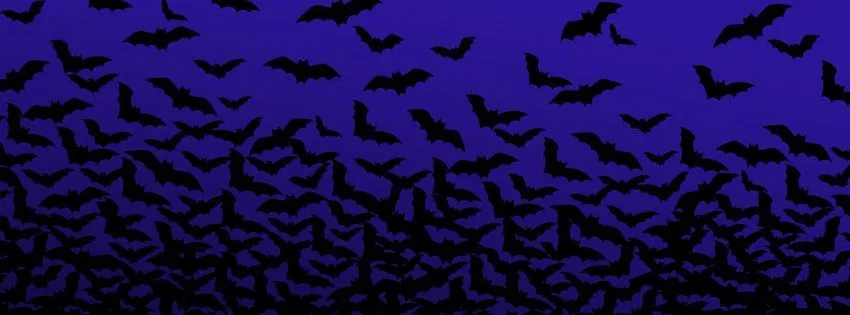 OnlyFans cuenta ladybratbat header 2