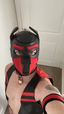 OnlyFans cuenta pup_aries avatar 1