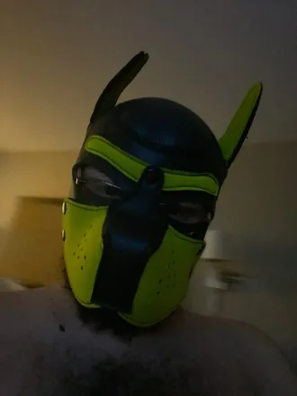 OnlyFans cuenta blazikenthepup header 2