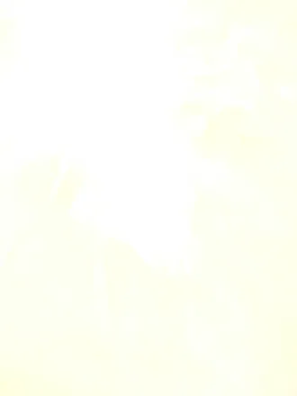 OnlyFans cuenta kushinathekushqueen header 2