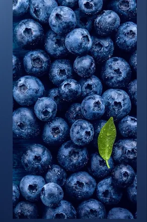 OnlyFans cuenta blueberrybooooti header 2