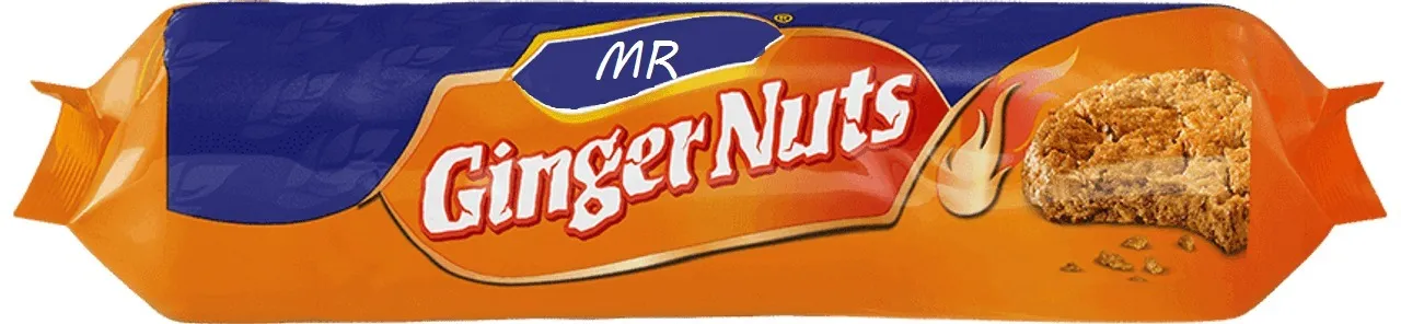 OnlyFans account  mrgingernuts header 2