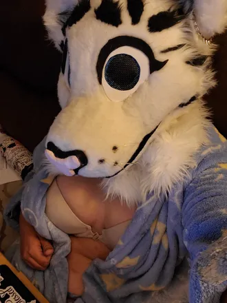 OnlyFans cuenta mzboofuzz header 2