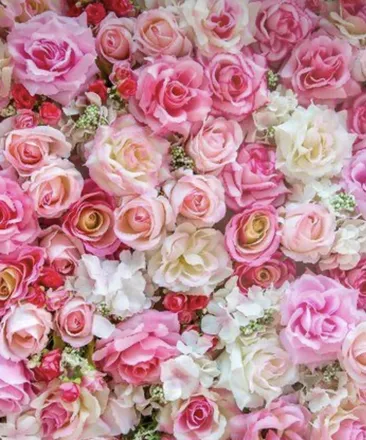 OnlyFans cuenta rosefirez header 2