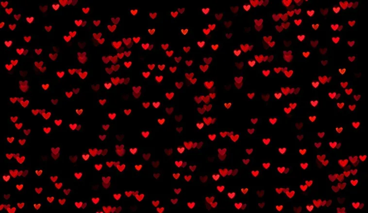OnlyFans account  hotallisson header 2