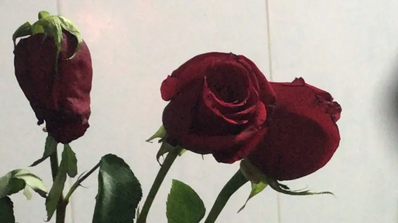 OnlyFans account  itsliamcor header 2