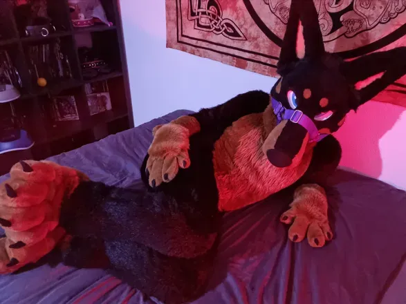 OnlyFans cuenta jessydobe header 2