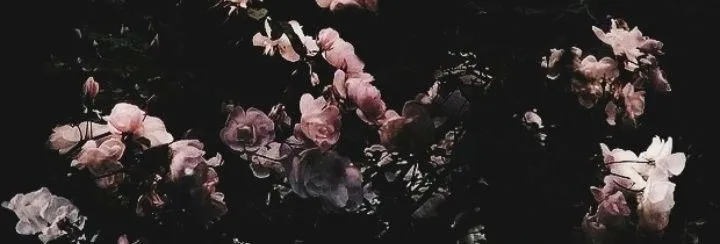 OnlyFans cuenta babyg0thh header 2