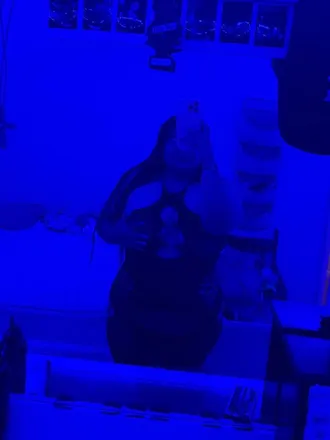 OnlyFans cuenta gabbyfavila header 2