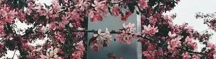 OnlyFans account  jaderainne header 2