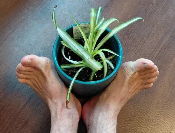 OnlyFans cuenta sexyfeet88888 avatar 1