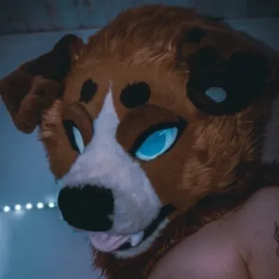 OnlyFans cuenta harpercollie avatar 1