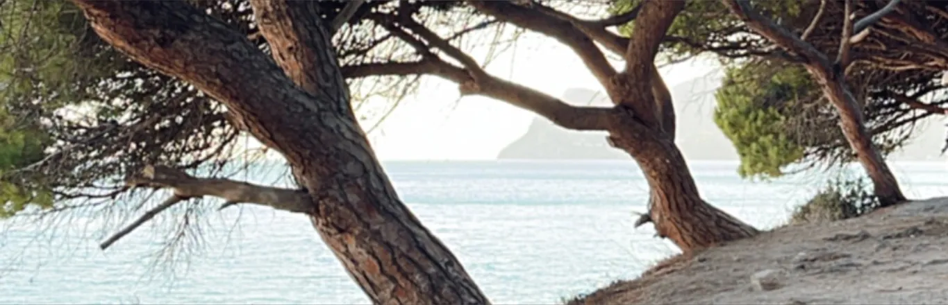OnlyFans cuenta portugueseforyou header 2