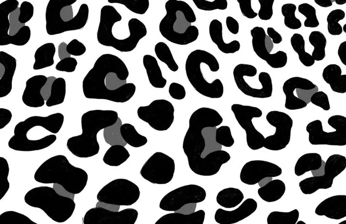 OnlyFans cuenta kbbaybee header 2