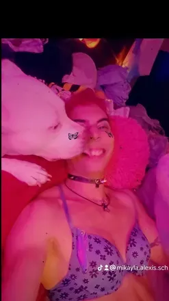 OnlyFans cuenta alexisthefox header 2