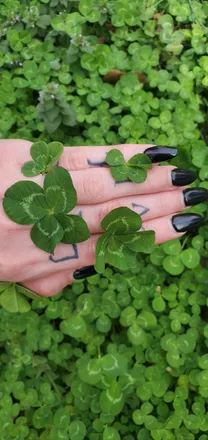 OnlyFans cuenta cloverthelucky header 2