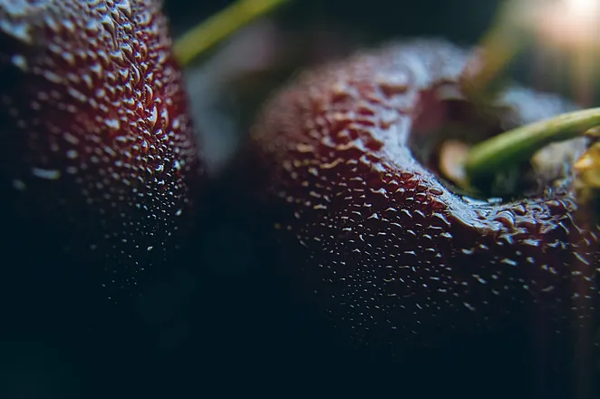 OnlyFans cuenta cherrybloom_01 header 2