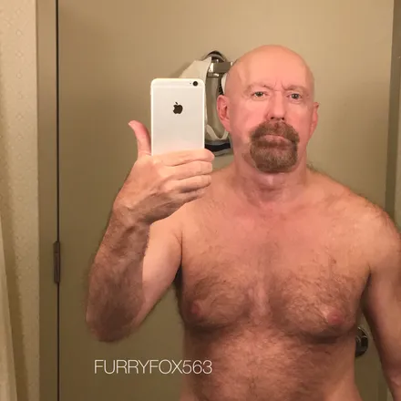 OnlyFans cuenta furryfox header 2