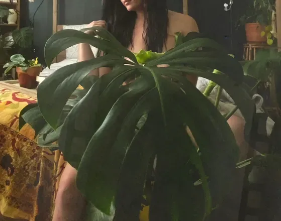 OnlyFans account  mommypoisonivy header 2