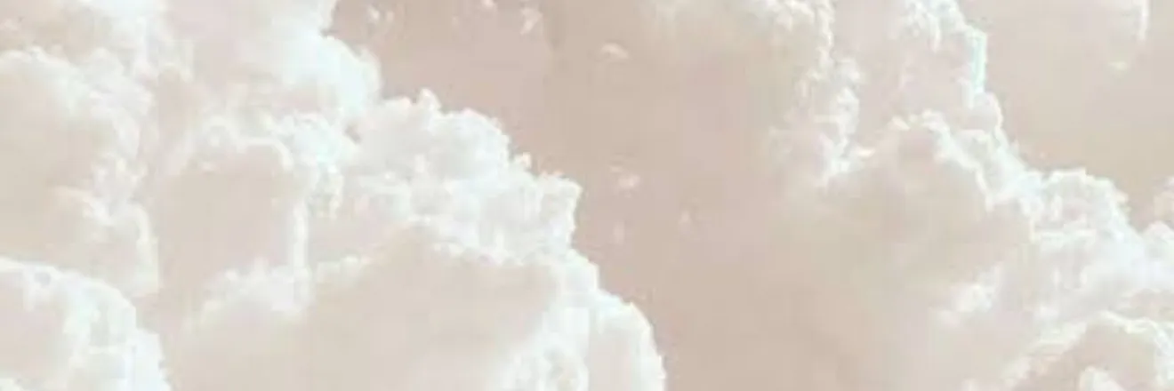 OnlyFans cuenta trxshtxlkr header 2