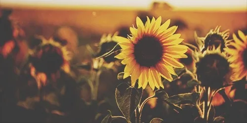 OnlyFans cuenta gale.xiia header 2