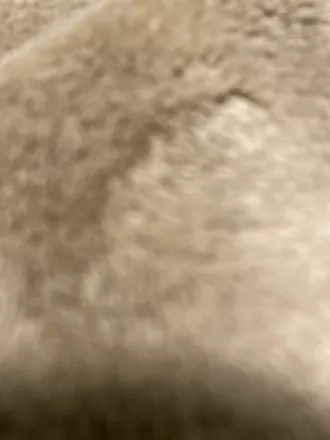 OnlyFans cuenta u113987831 header 2