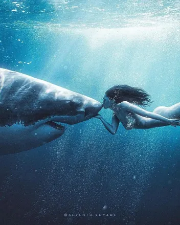 OnlyFans cuenta maeko.shark11 header 2
