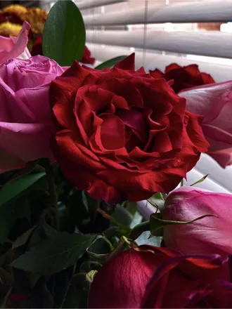 OnlyFans cuenta rosegoldswitchvip header 2