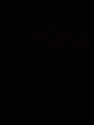 OnlyFans account  soyonce header 2