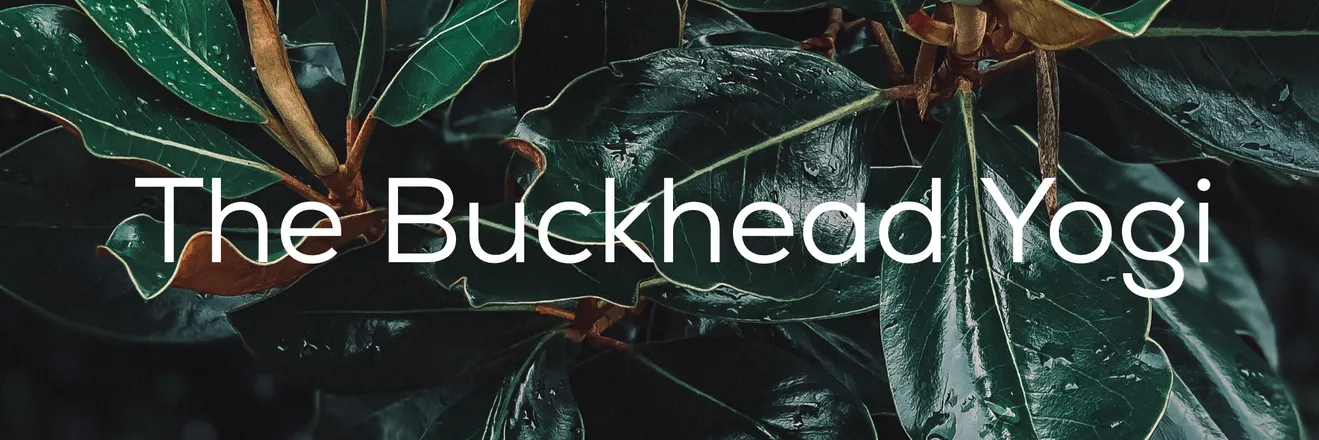 OnlyFans cuenta thebuckheadyogi header 2