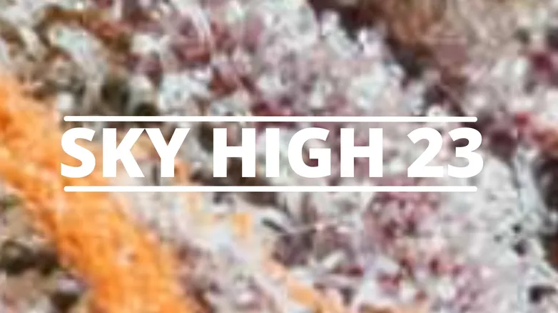 OnlyFans cuenta skyhigh23 header 2