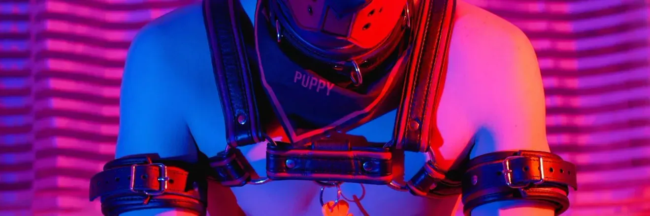 OnlyFans cuenta gustobunny header 2